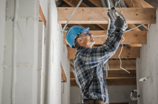 Best Electrical System Inspection  in Nisswa, MN